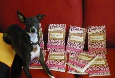 Dog with books